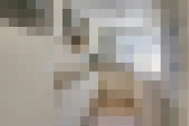 Heemskerklaan 38 Velp thumbnail 4