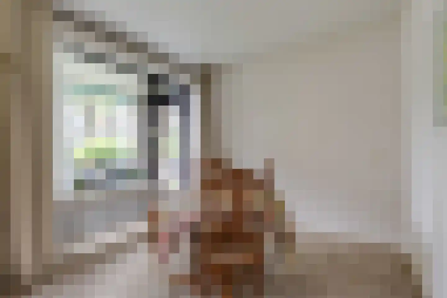 Heemskerklaan 8 Velp thumbnail 13