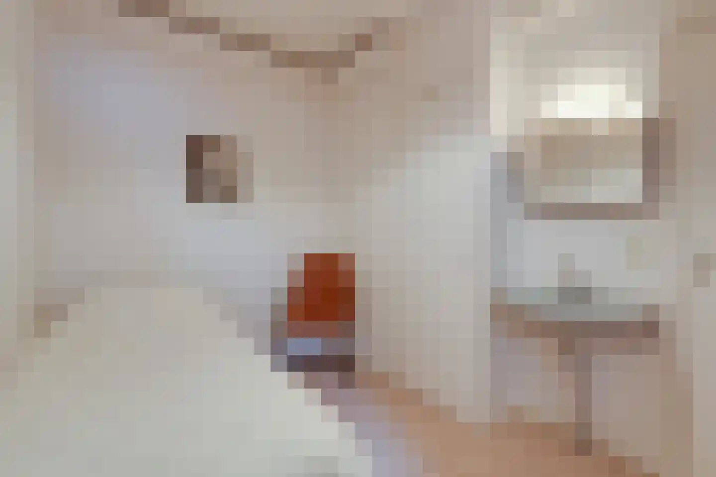 Heemskerklaan 8 Velp thumbnail 21