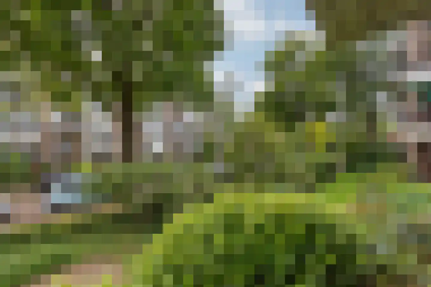 Heemskerklaan 8 Velp thumbnail 32