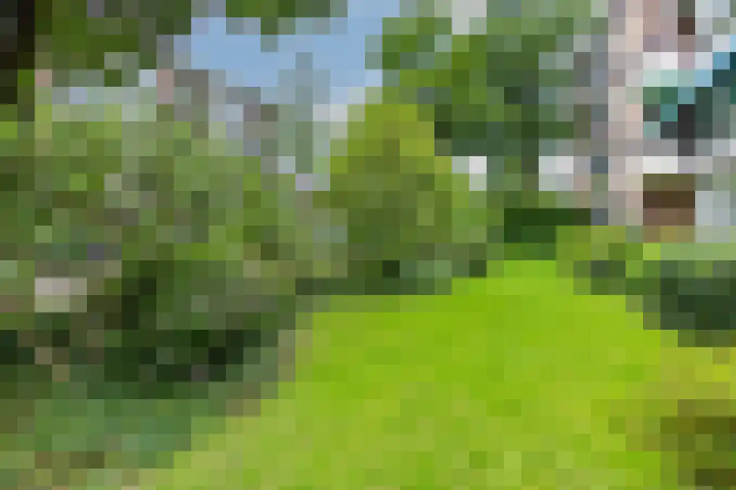Heemskerklaan 8 Velp thumbnail 34