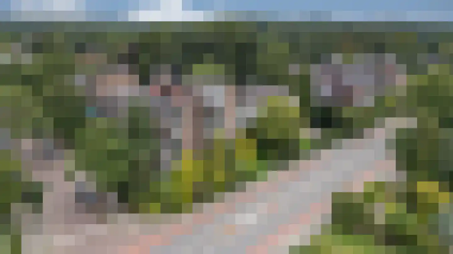 Heemskerklaan 8 Velp thumbnail 36