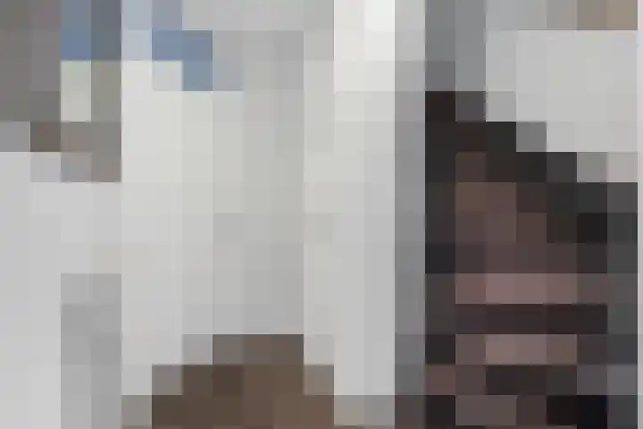 Heemst 4 a Nijverdal thumbnail 11