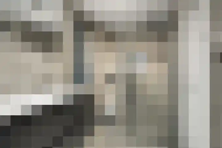 Heemst 4 a Nijverdal thumbnail 15