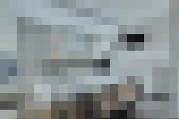 Heemst 4 a Nijverdal thumbnail 17