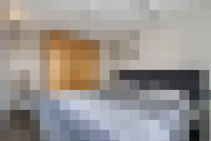 Heemst 4 a Nijverdal thumbnail 18