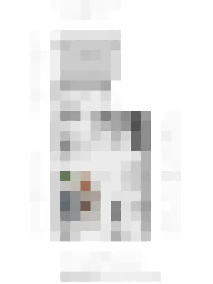 Heemst 4 a Nijverdal thumbnail 28