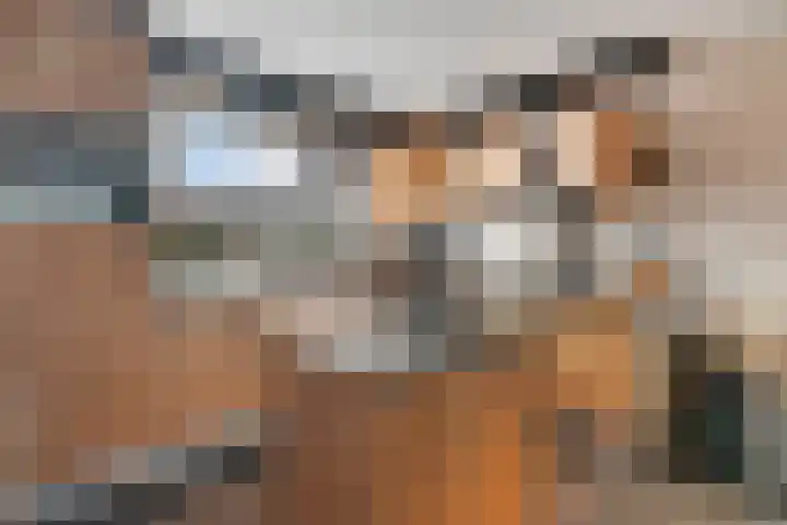 Heemst 4 a Nijverdal thumbnail 7