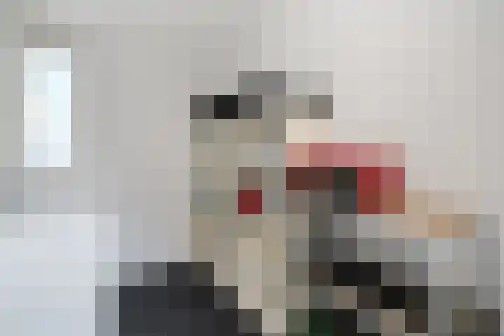 Heemst 4 a Nijverdal thumbnail 9