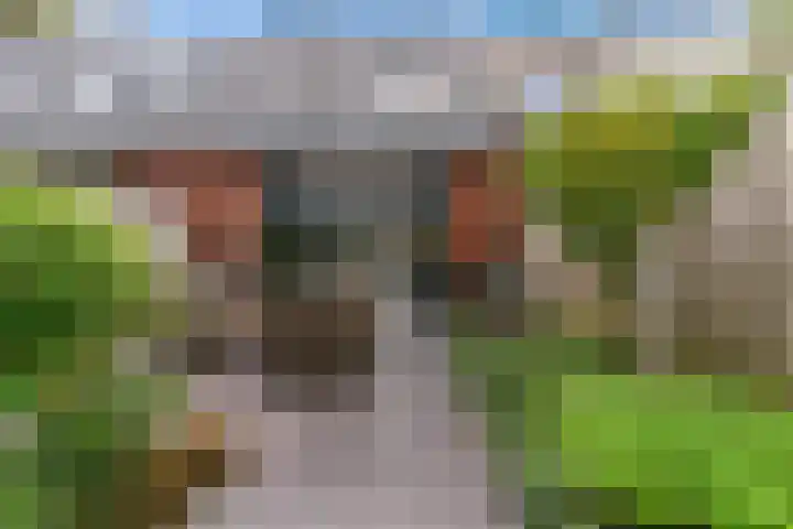 Heemstede 230 Amstelveen thumbnail 5