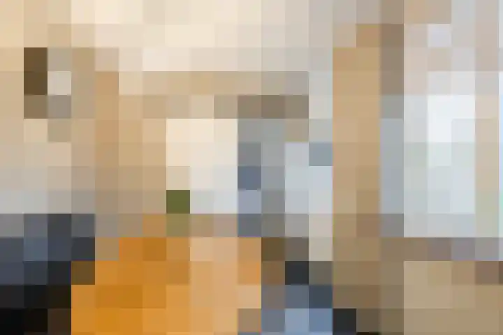 Heemsteres 19 Den Ham thumbnail 14