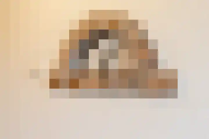 Heemsteres 19 Den Ham thumbnail 18