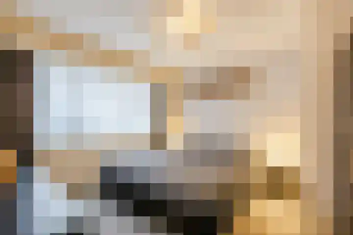 Heemsteres 19 Den Ham thumbnail 23