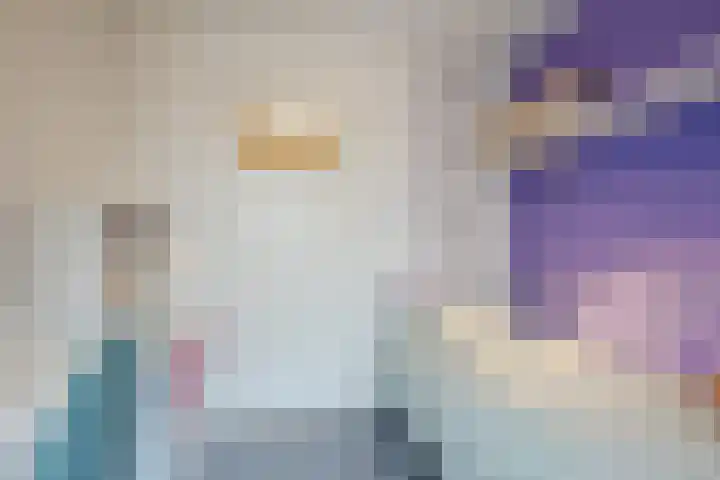 Heemsteres 19 Den Ham thumbnail 28