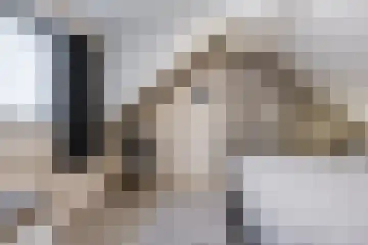 Heemsteres 19 Den Ham thumbnail 29