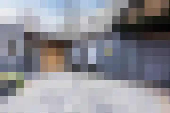 Heemsteres 19 Den Ham thumbnail 39
