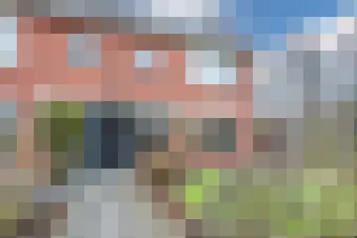Heemsteres 19 Den Ham thumbnail 4