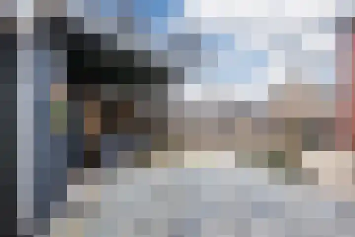 Heemsteres 19 Den Ham thumbnail 40