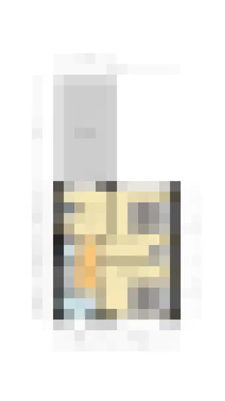 Heemsteres 19 Den Ham thumbnail 49