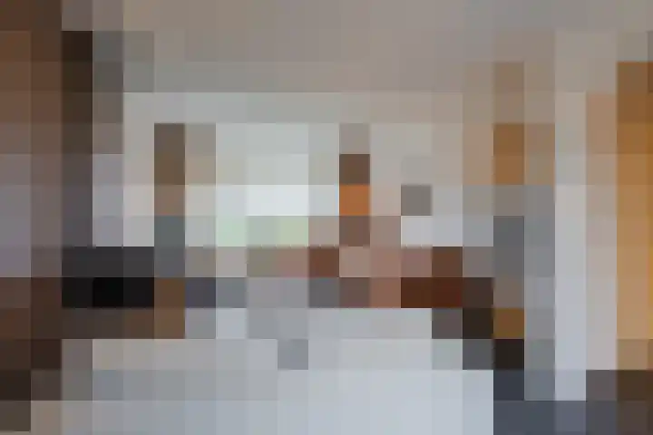 Heemsteres 19 Den Ham thumbnail 7