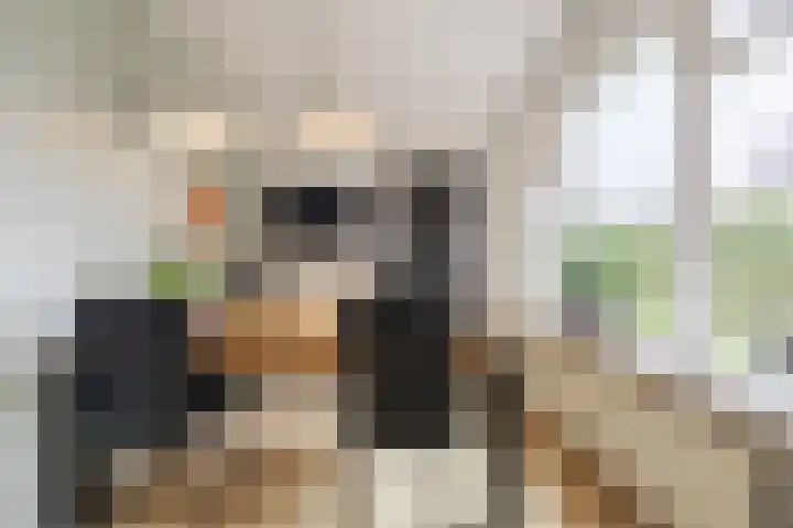 Heemsteres 35 Den Ham thumbnail 10
