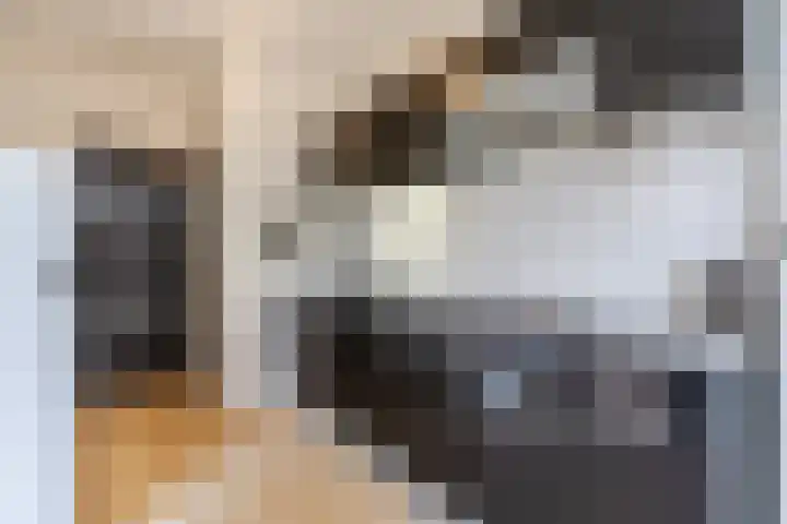 Heemsteres 35 Den Ham thumbnail 12