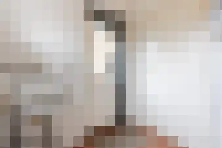 Heemsteres 35 Den Ham thumbnail 14