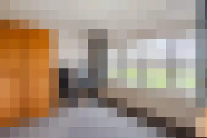 Heemsteres 35 Den Ham thumbnail 21