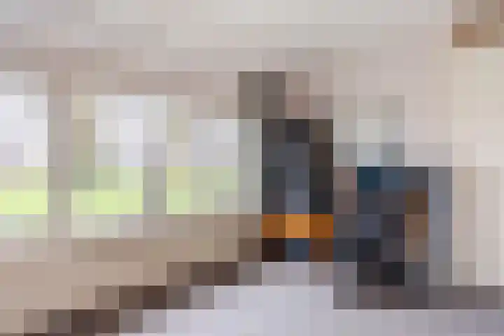 Heemsteres 35 Den Ham thumbnail 22