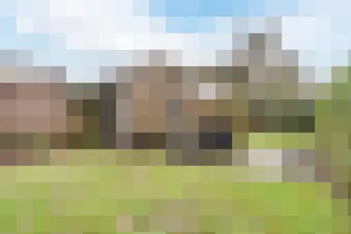 Heemsteres 35 Den Ham thumbnail 27