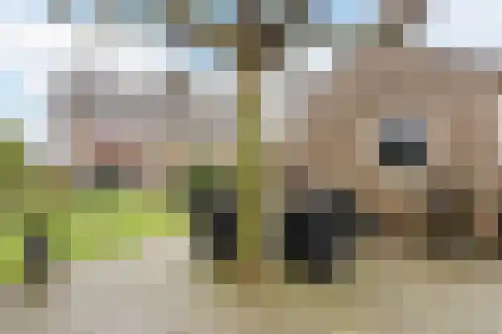 Heemsteres 35 Den Ham thumbnail 28