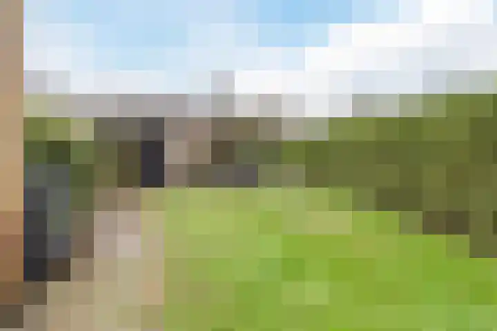 Heemsteres 35 Den Ham thumbnail 30