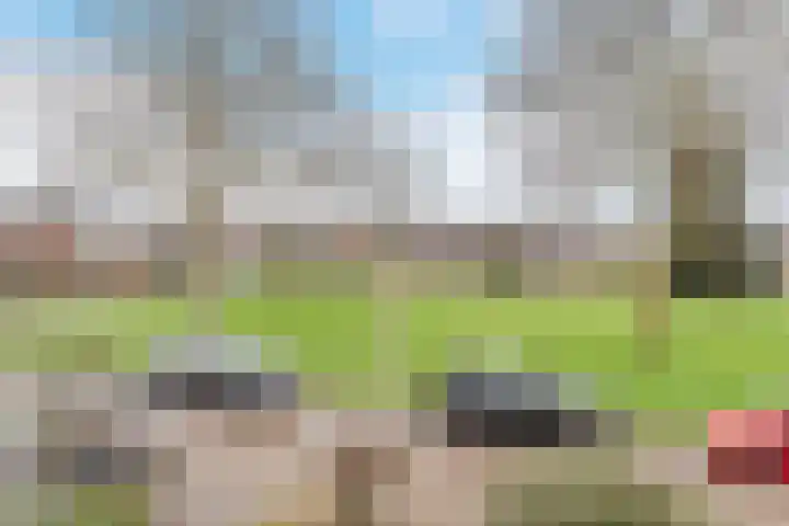 Heemsteres 35 Den Ham thumbnail 33