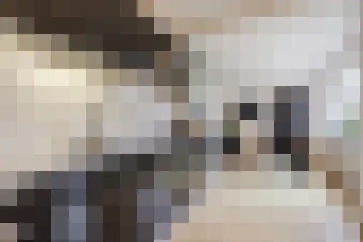 Heemsteres 35 Den Ham thumbnail 5