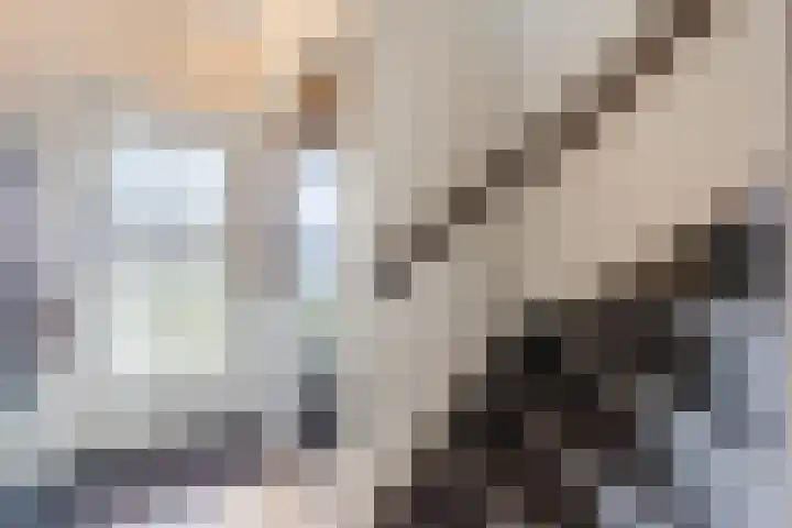 Heemsteres 35 Den Ham thumbnail 6