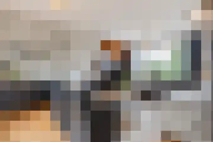 Heemsteres 35 Den Ham thumbnail 8