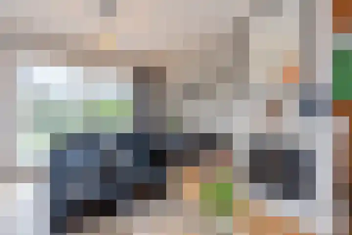 Heemsteres 35 Den Ham thumbnail 9