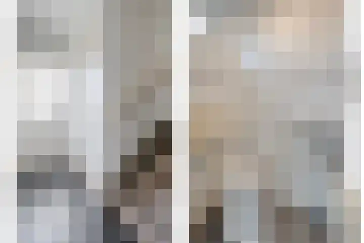 Heemsteres 57 Den Ham thumbnail 10