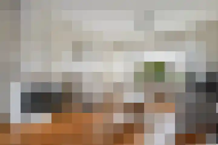 Heemsteres 57 Den Ham thumbnail 11