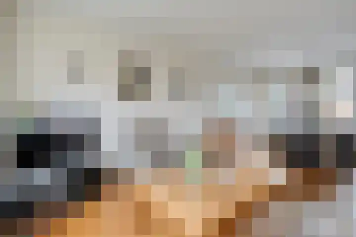 Heemsteres 57 Den Ham thumbnail 12
