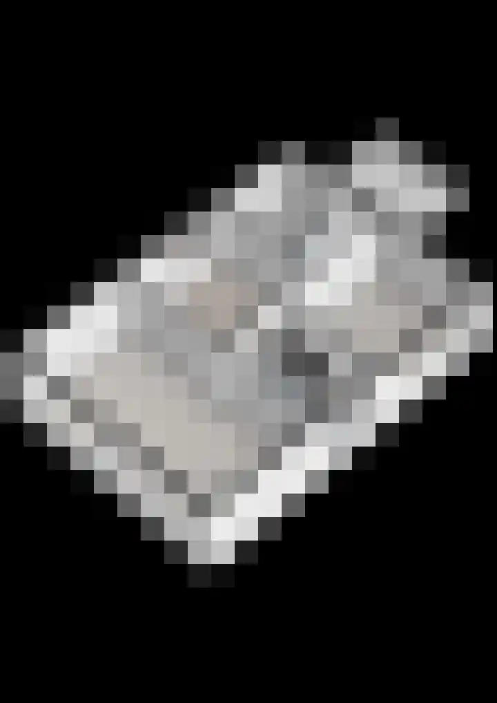 Heemsteres 57 Den Ham thumbnail 14
