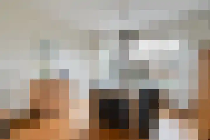Heemsteres 57 Den Ham thumbnail 14