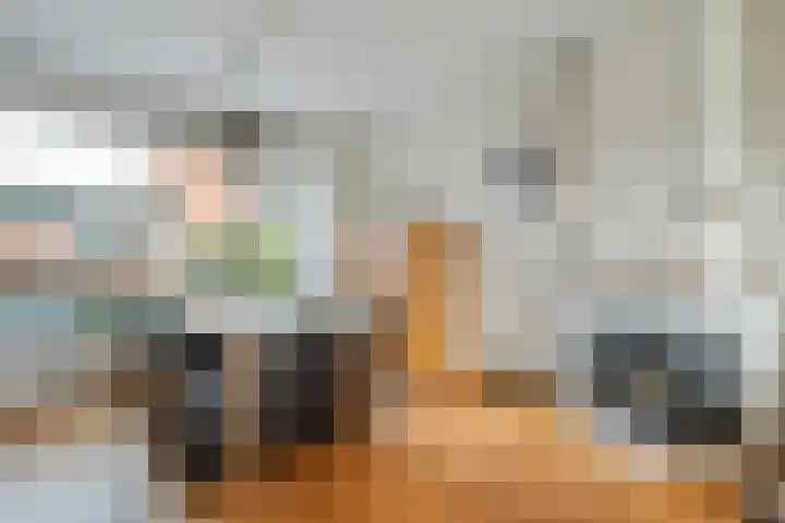 Heemsteres 57 Den Ham thumbnail 15