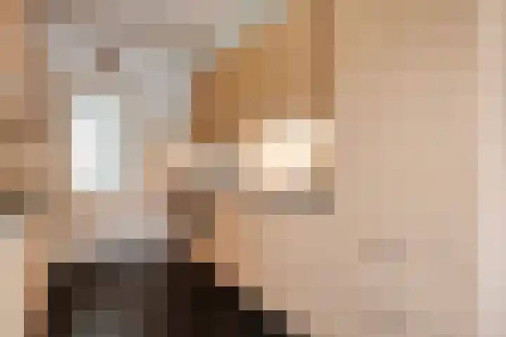 Heemsteres 57 Den Ham thumbnail 19