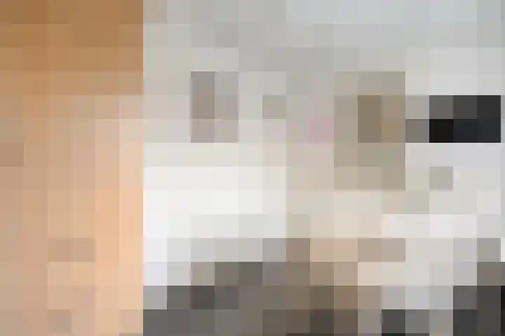 Heemsteres 57 Den Ham thumbnail 20