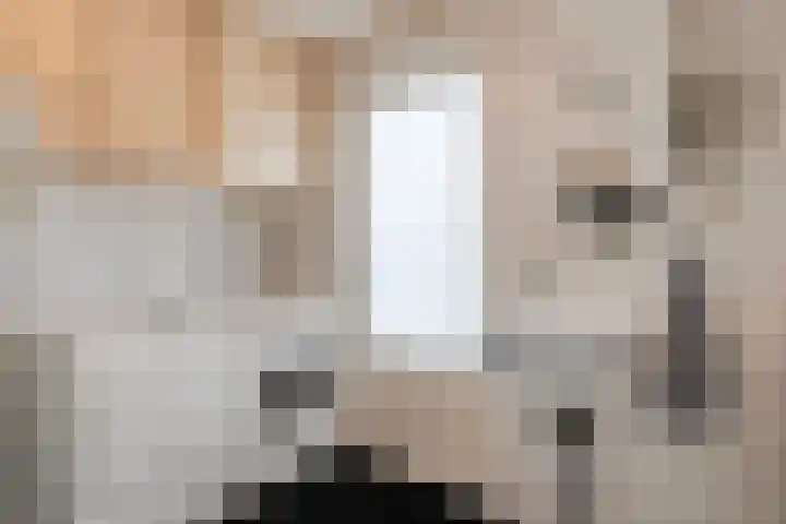 Heemsteres 57 Den Ham thumbnail 22