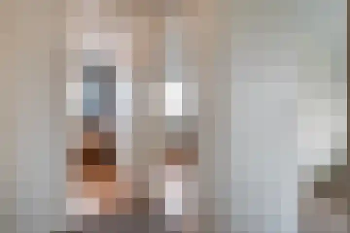 Heemsteres 57 Den Ham thumbnail 25