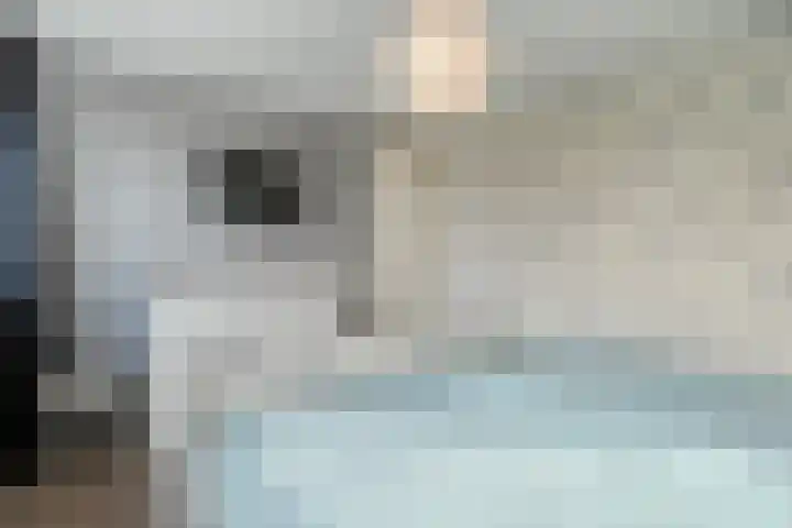 Heemsteres 57 Den Ham thumbnail 27