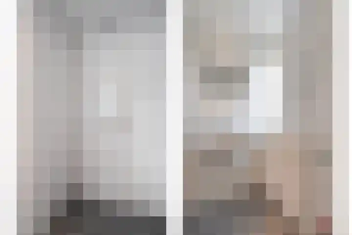 Heemsteres 57 Den Ham thumbnail 28