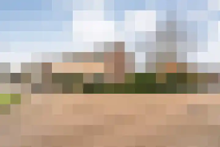 Heemsteres 57 Den Ham foto 3